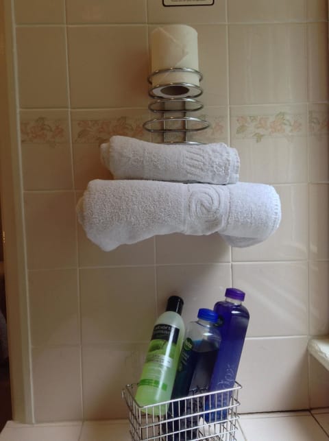 Combined shower/tub, free toiletries, hair dryer, towels