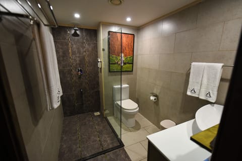 Deluxe Single Suite | Bathroom | Shower, free toiletries, hair dryer, towels