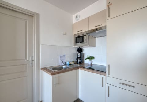 Family Apartment, 1 Bedroom, Terrace | Private kitchen | Fridge, microwave, stovetop, dishwasher