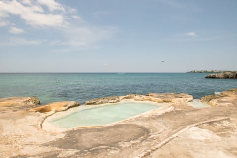 Outdoor pool, a natural pool