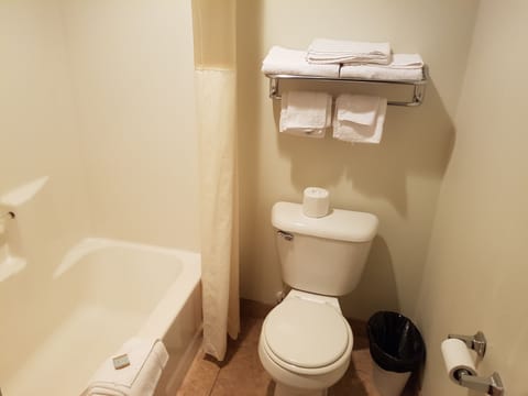 Combined shower/tub, deep soaking tub, free toiletries, towels