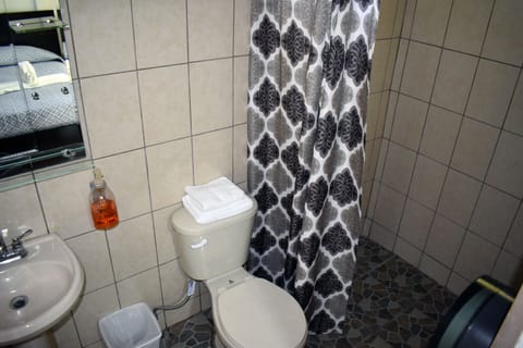 Double Room | Bathroom | Shower, rainfall showerhead, hair dryer, towels