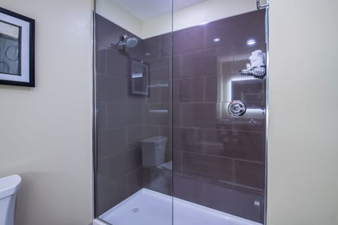 Combined shower/tub, free toiletries, hair dryer, towels