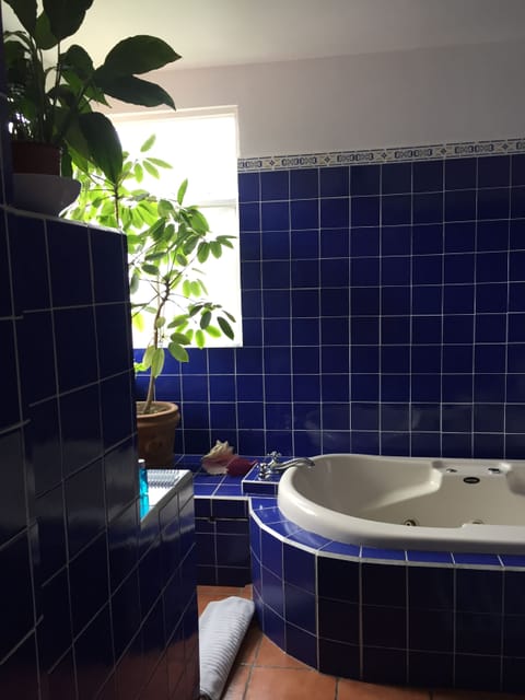 Standard Room | Bathroom | Shower, hair dryer, towels