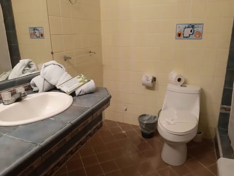 Shower, free toiletries, bidet, towels