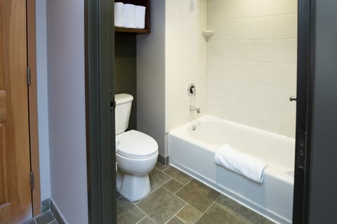 Combined shower/tub, free toiletries, hair dryer, towels