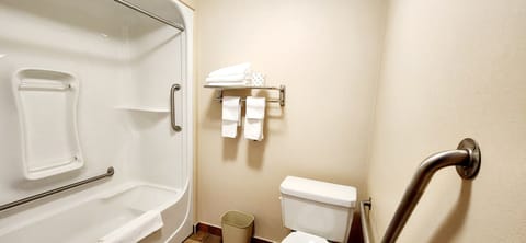Senior Room | Bathroom | Combined shower/tub, free toiletries, hair dryer, towels