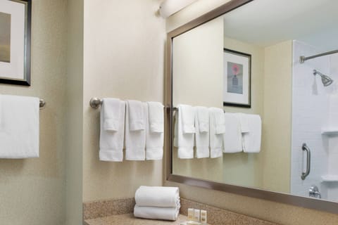 Combined shower/tub, free toiletries, hair dryer, towels