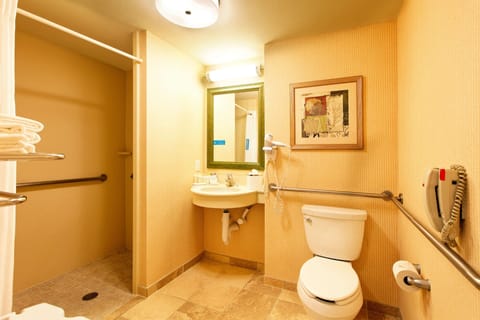 Room, 2 Queen Beds, Accessible, Non Smoking | Bathroom shower