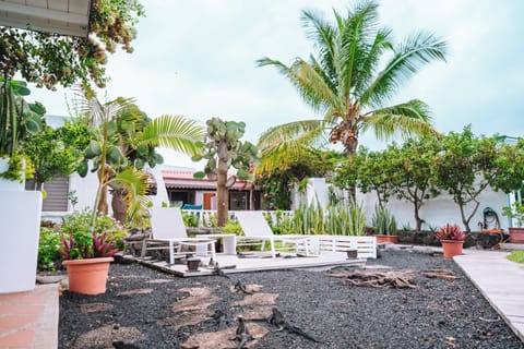 Superior Room, Balcony | Terrace/patio