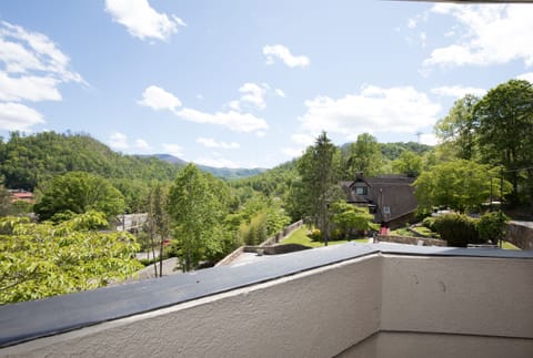 Panoramic Double Room | Mountain view