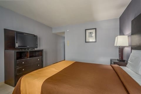 Standard Single Room, 1 Queen Bed | Free WiFi