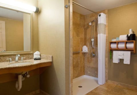 ADA Accessible, Room, 1 King Bed (Roll-In Shower) | Bathroom shower