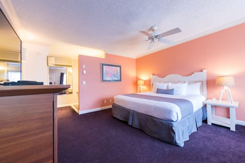 Standard Room, 1 King Bed, Mountain View | In-room safe, desk, iron/ironing board, free WiFi