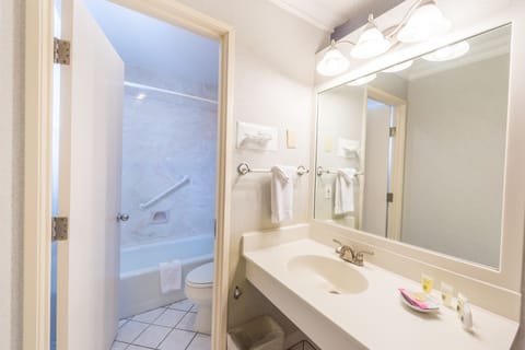 Standard Room, 1 Queen Bed, Mountain View | Bathroom | Combined shower/tub, free toiletries, hair dryer, towels