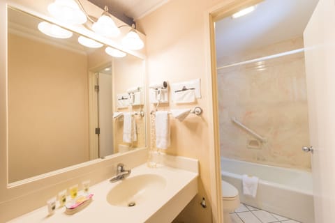 Standard Room, 1 King Bed, Mountain View | Bathroom | Combined shower/tub, free toiletries, hair dryer, towels
