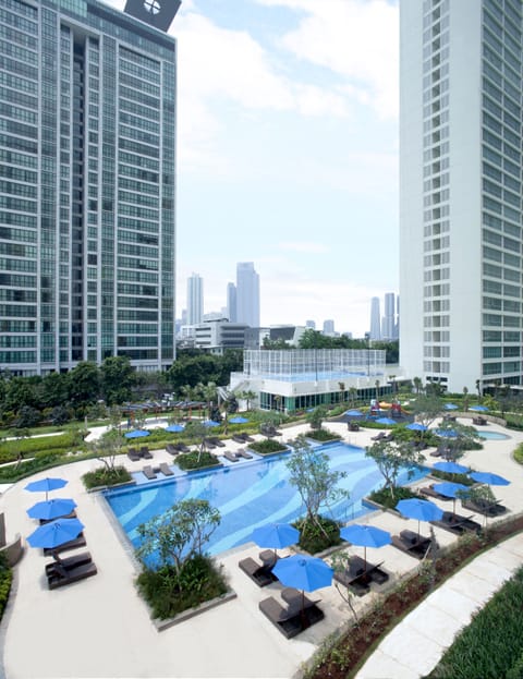 Outdoor pool, sun loungers