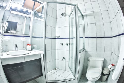Superior Suite | Bathroom | Shower, free toiletries, hair dryer, towels