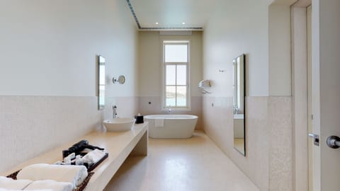 Deluxe Suite | Bathroom | Shower, rainfall showerhead, free toiletries, hair dryer