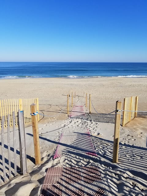 On the beach, fishing