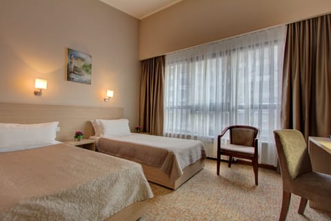 Standard Twin Room | Minibar, desk, iron/ironing board, free WiFi