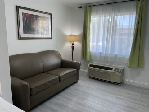 Deluxe Single Room, Accessible | Living area | Flat-screen TV