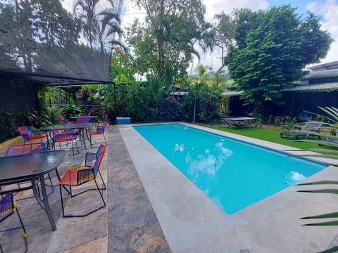 Outdoor pool, sun loungers