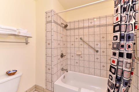 Combined shower/tub, free toiletries, hair dryer, towels