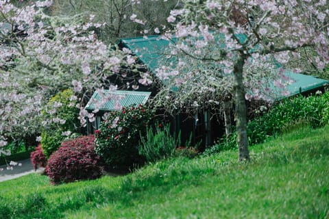 Romantic Cottage | Property grounds