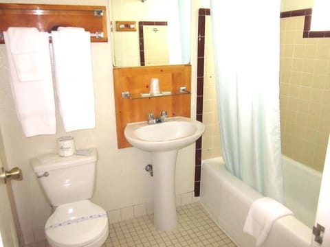 Combined shower/tub, free toiletries, hair dryer, towels