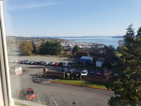 Standard Single Room, 1 King Bed, Ocean View | View from room