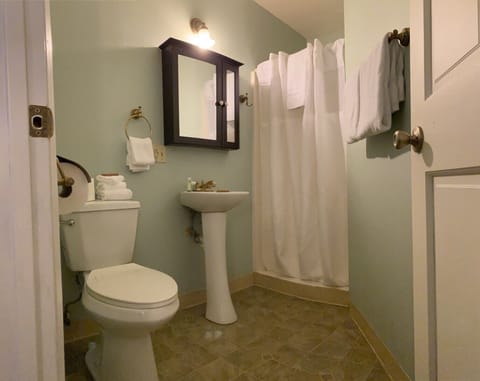 Superior Studio, 1 Queen Bed, Kitchen | Bathroom | Shower, towels
