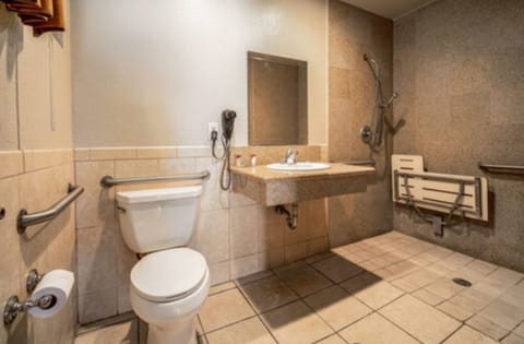 Room, 1 Queen Bed, Accessible | Bathroom | Combined shower/tub, hair dryer, towels, soap