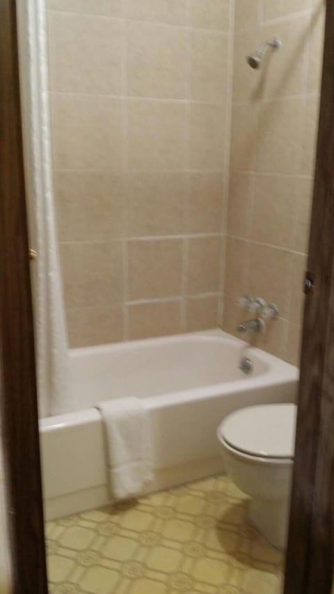 Combined shower/tub, free toiletries, hair dryer, towels