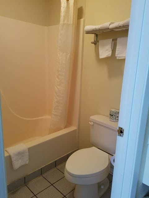 Combined shower/tub, free toiletries, hair dryer, towels