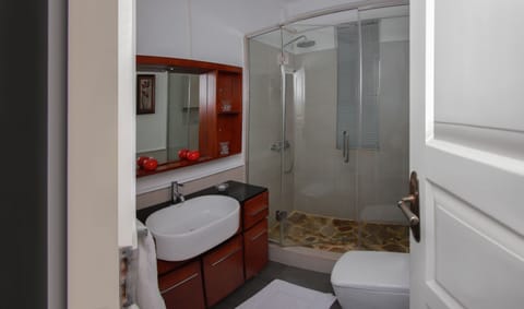 Apartment (AC) | Bathroom | Shower, free toiletries, hair dryer, towels