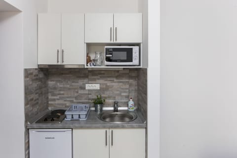 Studio, Terrace | Private kitchenette | Fridge, microwave, stovetop, electric kettle