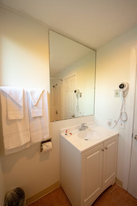 Combined shower/tub, free toiletries, hair dryer, towels