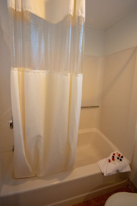 Combined shower/tub, free toiletries, hair dryer, towels