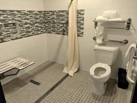 Standard Room, 1 King Bed, Accessible | Bathroom | Shower, rainfall showerhead, free toiletries, hair dryer