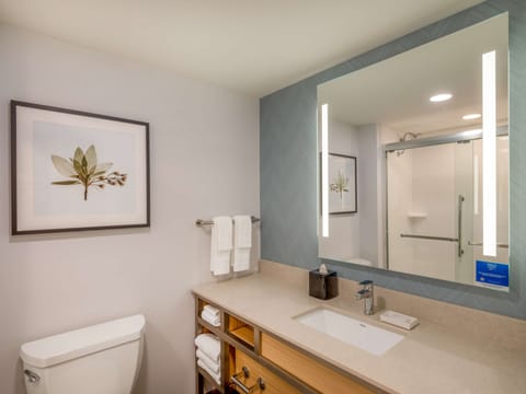 Room, 2 Queen Beds, River View | Bathroom shower