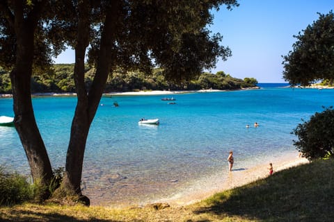 On the beach, scuba diving, snorkeling