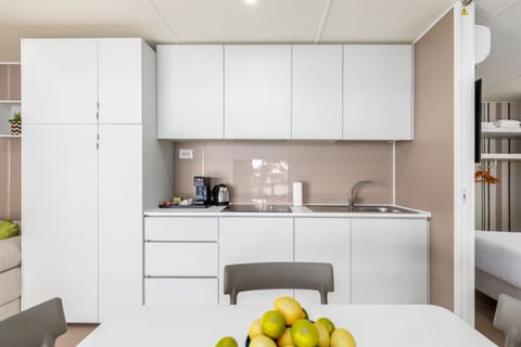 Fridge, microwave, stovetop, espresso maker