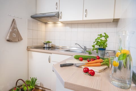 2-Room Apartment | Private kitchen | Fridge, coffee/tea maker, electric kettle, cookware/dishes/utensils