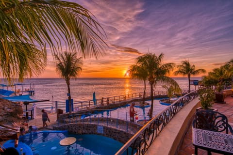 Sirena Poolside Queen Suite | View from room