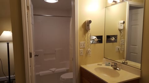 Bathroom | Combined shower/tub, free toiletries, hair dryer, towels