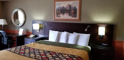 Deluxe Room, 1 King Bed | Desk, free WiFi