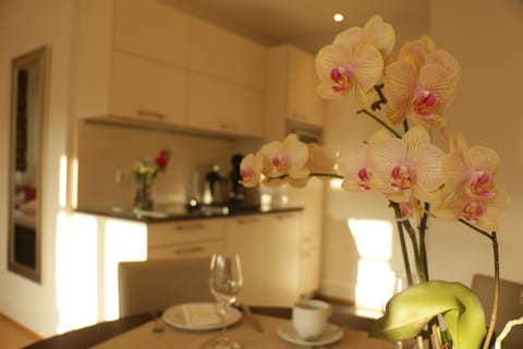 Superior Studio | Private kitchenette | Coffee/tea maker, electric kettle, cleaning supplies, paper towels