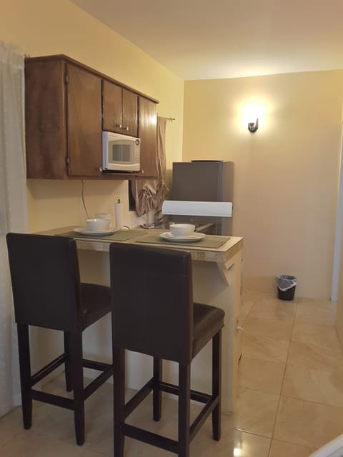 Standard Apartment, 1 Bedroom | Private kitchen | Full-size fridge, microwave, stovetop