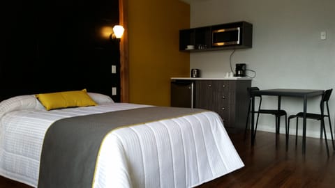 Superior Room, 1 Queen Bed, Refrigerator & Microwave | Soundproofing, iron/ironing board, free WiFi